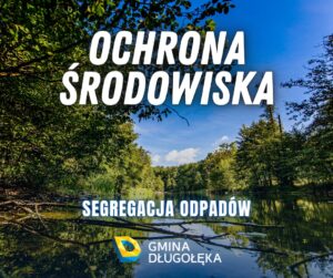 To nic nie da – powiedziało 37 milionów Polaków, czyli o segregacji odpadów słów kilka