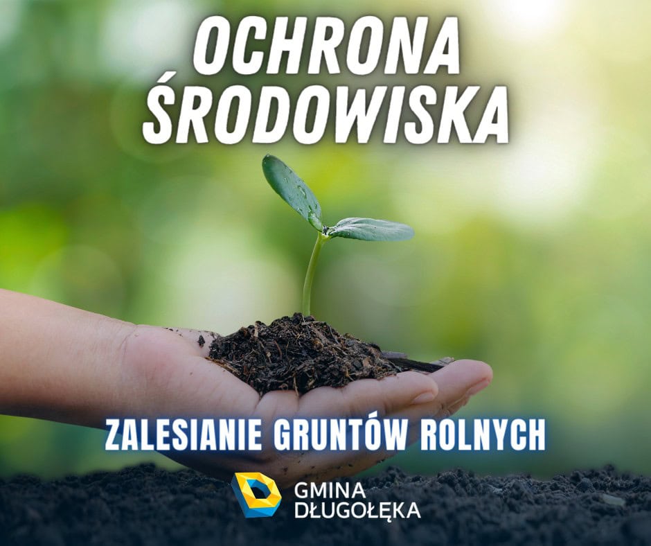 Wsparcie na zalesianie gruntów rolnych