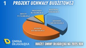 Projekt uchwały budżetowej na 2025 r.