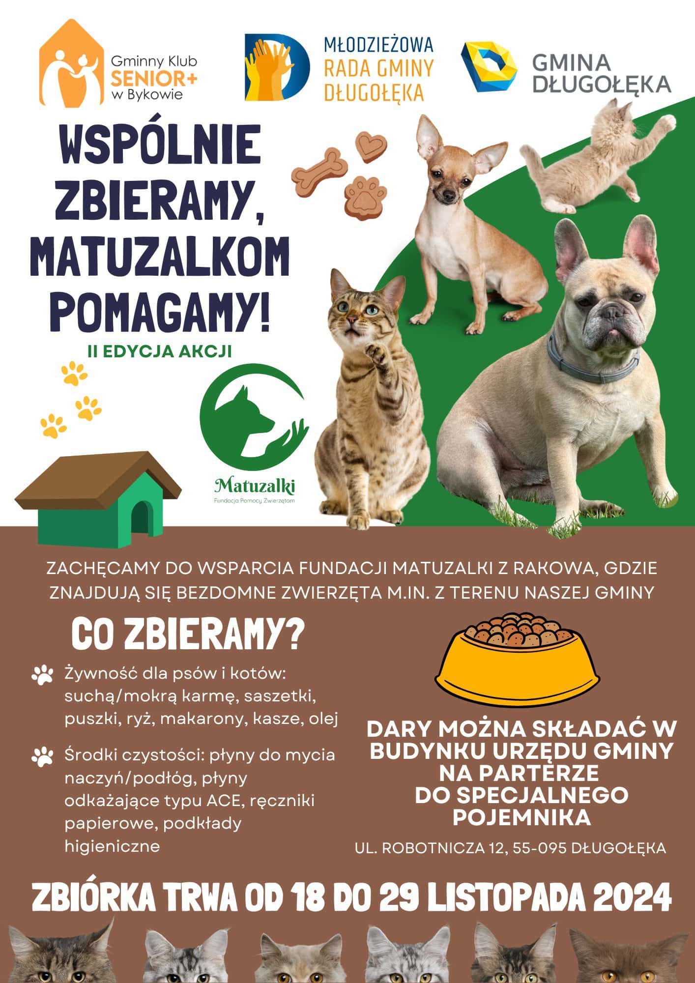 Zbiórka darów dla bezdomnych czworonogów