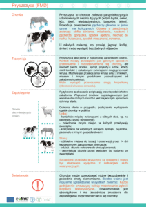 Informacja dotycząca zagrożenia pryszczycą (FMD)
