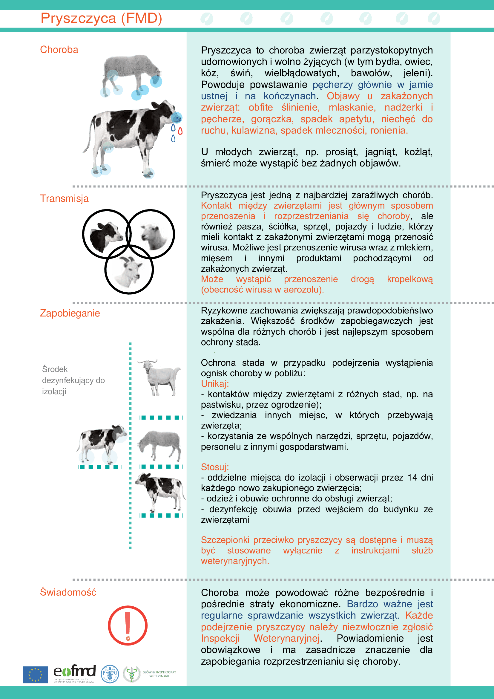 Informacja dotycząca zagrożenia pryszczycą (FMD)