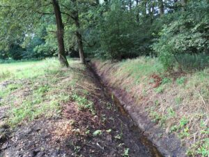 Gminna Spółka Wodna, czyli kto i co? Wyjaśniamy!