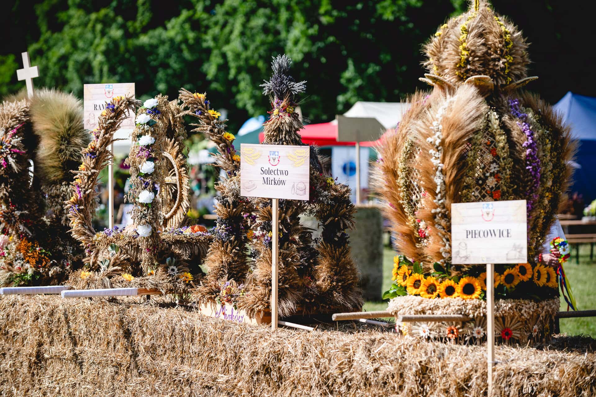 Wyniki konkursów dożynkowych 2025