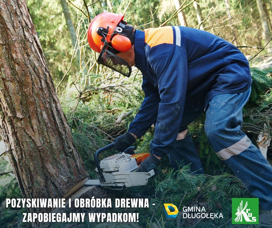 Pozyskiwanie i obróbka drewna – zapobiegajmy wypadkom!