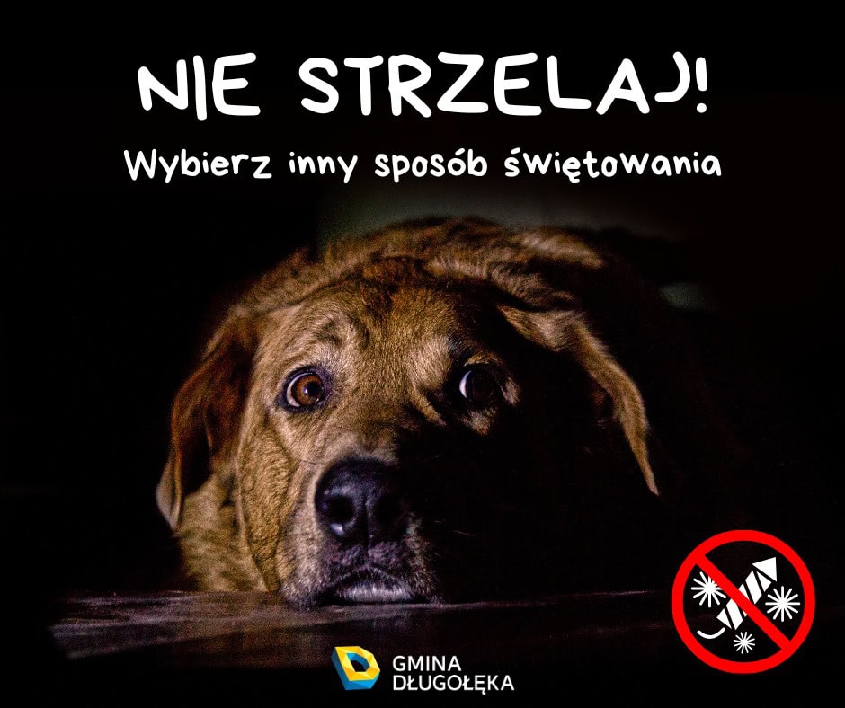 Nie strzelaj – wybierz inny sposób świętowania!