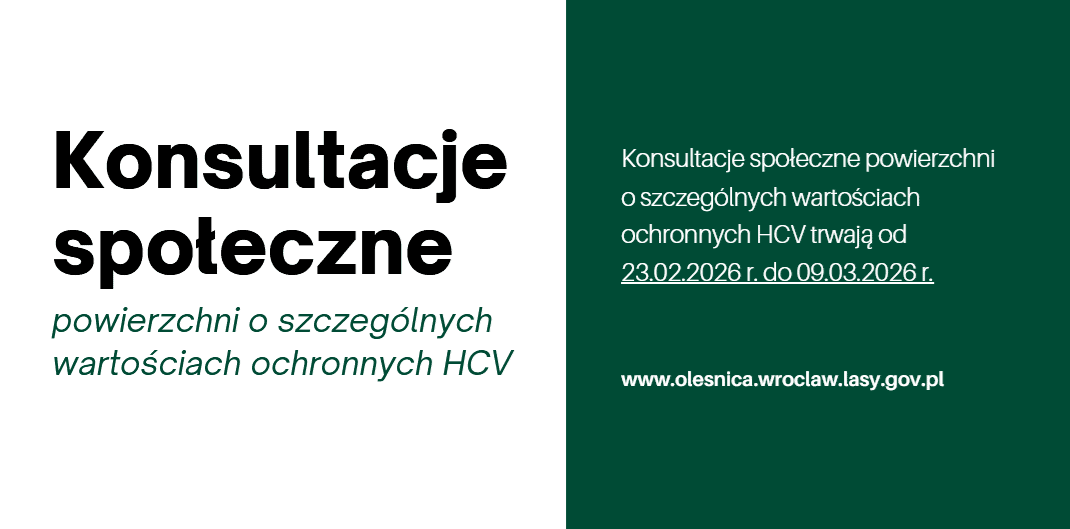 Konsultacje społeczne dotyczące powierzchni o szczególnych wartościach ochronnych (HCV)